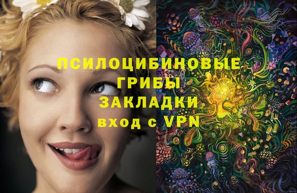 гидра Покров
