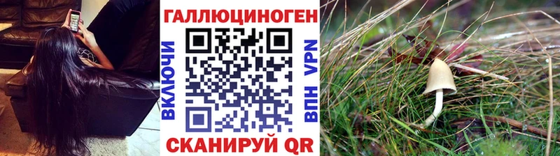 закладки  Черноголовка  Псилоцибиновые грибы мухоморы 